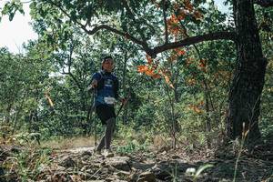 BIB: 
                            <button type="button" onclick="openModal(26110607)" class="btn btn-primary btn-sm float-right btn-popup" data-toggle="modal" data-target=".modal-high-quality">
                        <i class="fas fa-shopping-cart"></i> Add to Cart
                    </button>
                                            <button type="button" onclick="isThisMe(26110607, true)" class="btn btn-success btn-sm float-right btn-popup btn-isme hidden" data-toggle="tooltip" data-placement="bottom" title="นี่คือรูปของคุณใช่ไหม คลิกที่นี่เพื่อเอาเข้าอัลบั้ม">
                        <i class="fas fa-plus"></i> Add to album
                    </button>
                    <button type="button" onclick="isThisMe(26110607, false)" class="btn btn-warning btn-sm float-right btn-popup btn-isnotme hidden">
                        <i class="fas fa-ban"></i> Remove from album
                    </button>